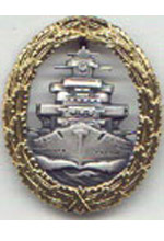 Fleet War Badge